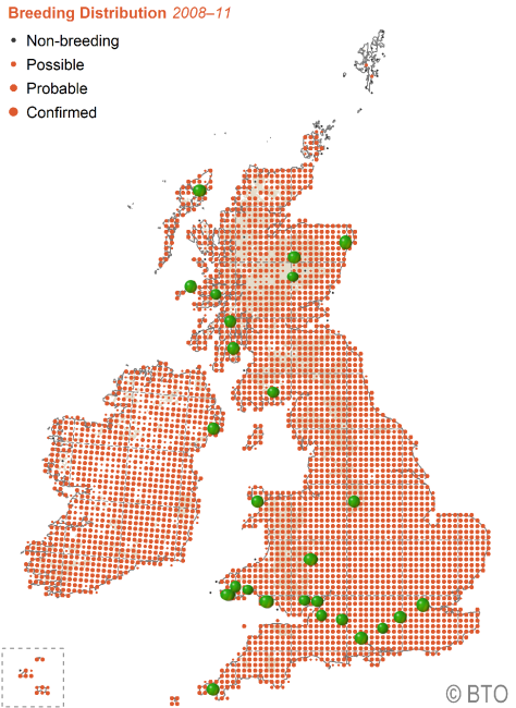 Distribution and sightings of the song thrush across the British Isles